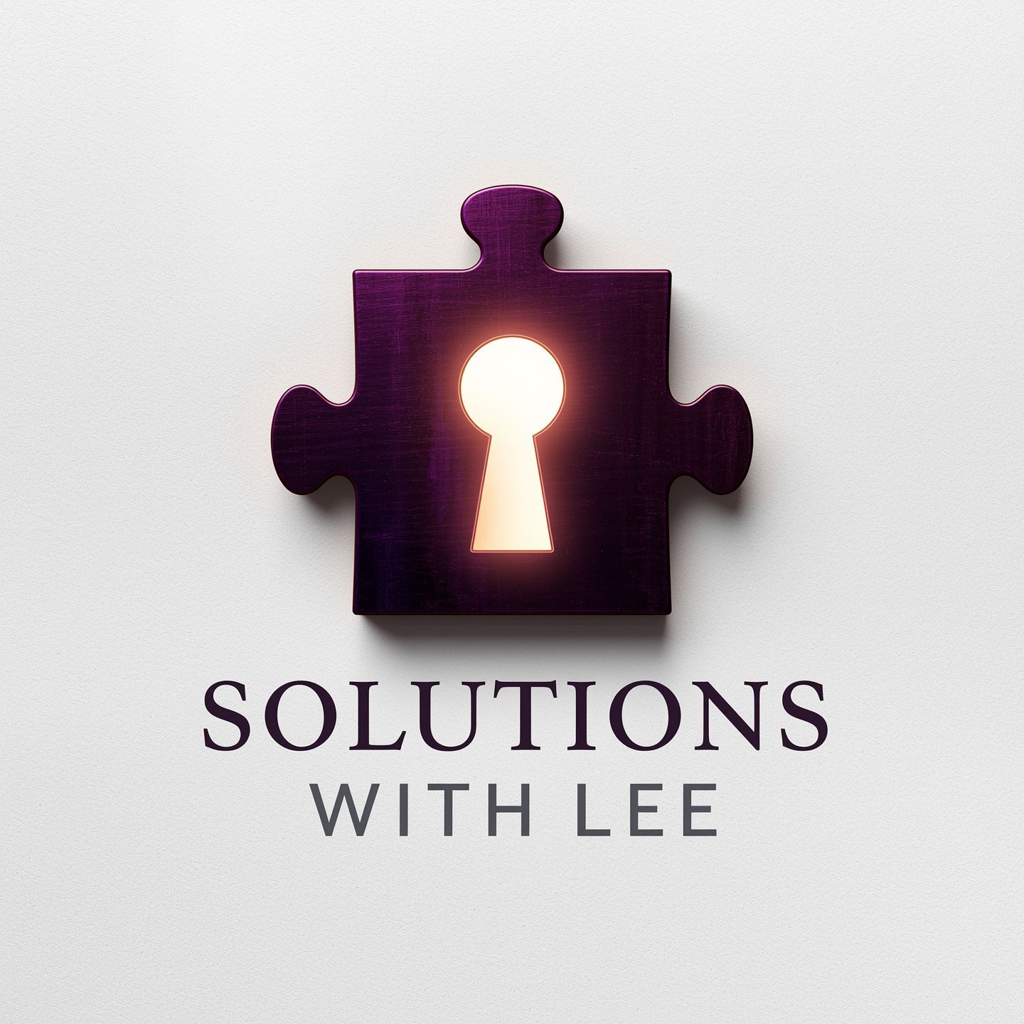 leesolutionsgroup.com